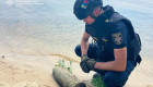 На Київському водосховищі виявили артснаряд часів Другої світової війни